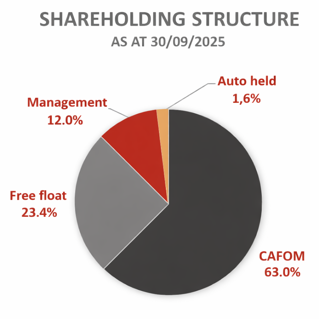 Shareholding structure